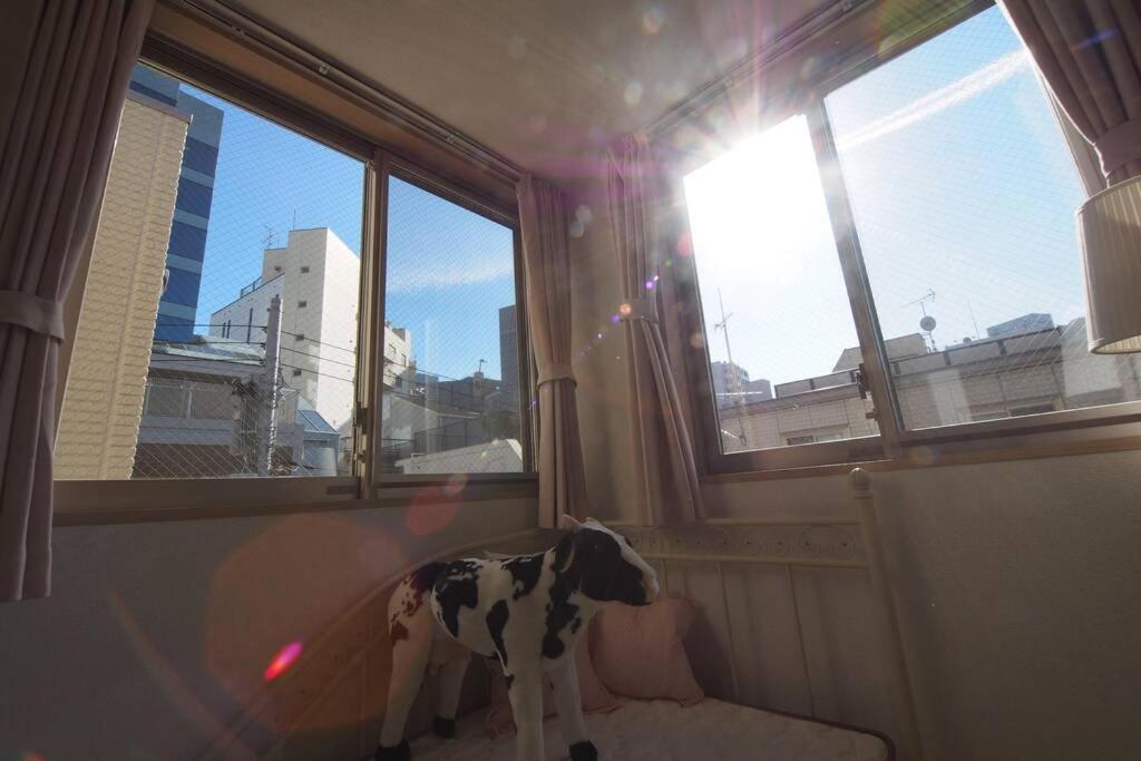 【Great Location!】Near Shinjuku Sta./Girls #302 Lägenhet Tokyo prefektur Exteriör bild